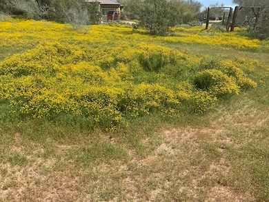 5686 E Red Bird Rd, Scottsdale, AZ 85266 - photo 3