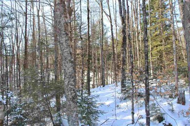 0 20 Mile Stream Rd, Cavendish, VT 05142 - photo 6