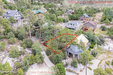 12632 N Casa Grande Ave unit 18, Mt. Lemmon, AZ 85619 - photo 6