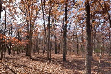 001 S Highway Aa N A, Stockton, MO 65785 - photo 6