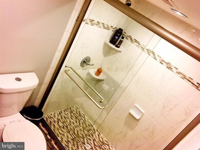 7532 Rain Flower Way, Columbia, MD 21046 - photo 6