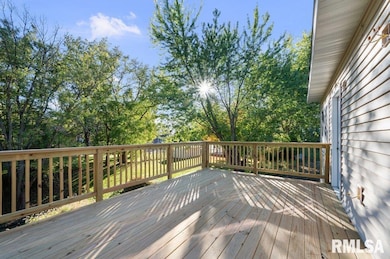 401 Oak Blvd, Port Byron, IL 61275 - photo 3