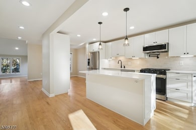 16 Minnisink Dr, Roseland, NJ 07068 - photo 4