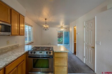11 Sunridge Ln unit 11A, Durango, CO 81301 - photo 5