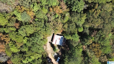 1681 Highway 93, Helena, AL 35080 - photo 4