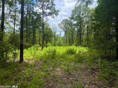 0 Albert Evans Rd unit 335684, Wilmer, AL 36587 - photo 7