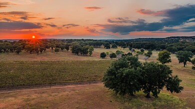 50 Maverick Ln, Fredericksburg, TX 78624 - photo 4