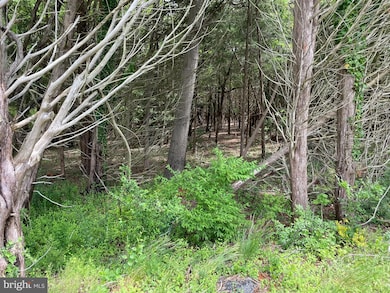 0 E Main St unit NJOC2025964, Tuckerton, NJ 08087 - photo 2