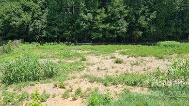 4020 Hereford Ln unit 53, Dallas, NC 28034 - photo 3