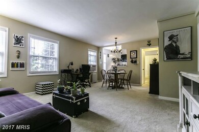 5114 Columbia Pike unit 3, Arlington, VA 22204 - photo 5