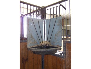 Carousel Image