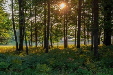 2673 Whitmarsh Rd, Vanderbilt, MI 49795 - photo 6