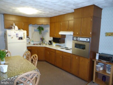 800 Emerson Ave, Reading, PA 19605 - photo 6