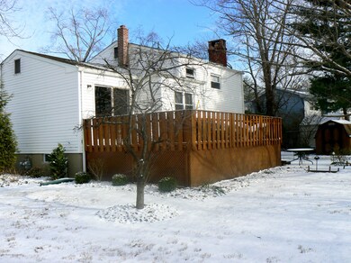 Backyard2