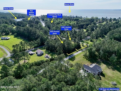 Aerial 1