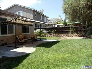 Large Lush Backyard