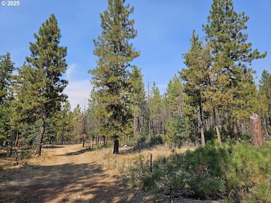 0 Hawks Wind Rd unit 1 162521196, Goldendale, WA 98620 - photo 4