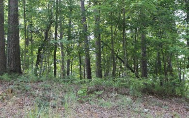Additional View