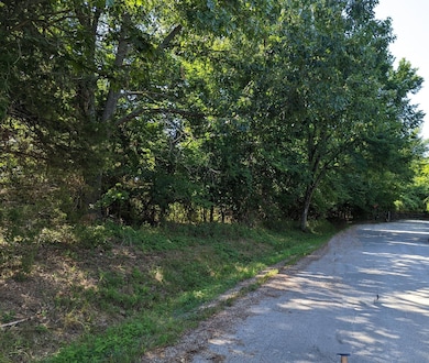 Lot 5-6,12 N Fulbright Ave, Springfield, MO 65803 - photo 6