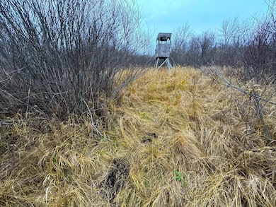 47691 635th Ave, Sebeka, MN 56477 - photo 6