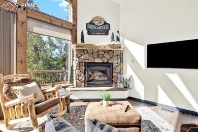 341 Rainbow Trail, Divide, CO 80814 - photo 6