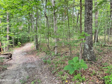 0 E Loomis Rd, Jamestown, TN 38556 - photo 3