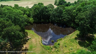 Pond