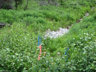 drainage easement