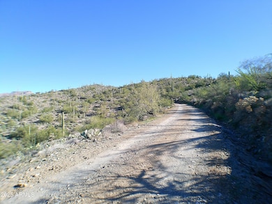 0 E Silver Tip Rd unit 6955485, Queen Valley, AZ 85118 - photo 5