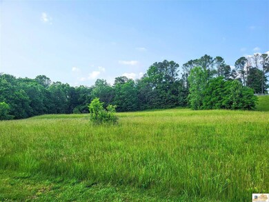 2.5 ac Kirkhills Ln, Glasgow, KY 42141 - photo 7