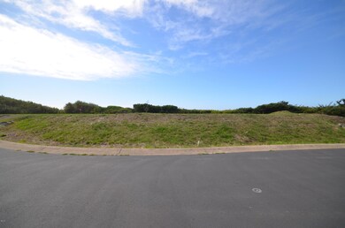 Lot is elevated above the street.
