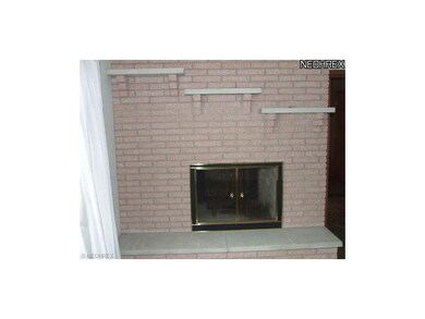 Close up of the fireplace on Living room side.