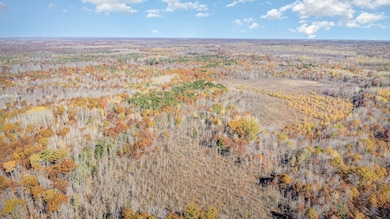 3385 Jones Rd, Beaverton, MI 48612 - photo 7