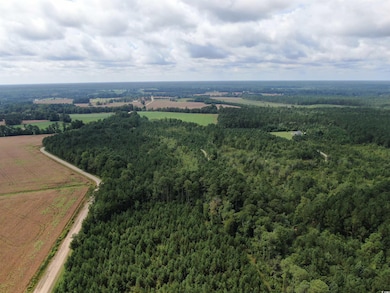 Overview of rural landscape featuring a heavily wooded area