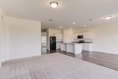 17804 Altesino Cove, Pflugerville, TX 78660 - photo 3