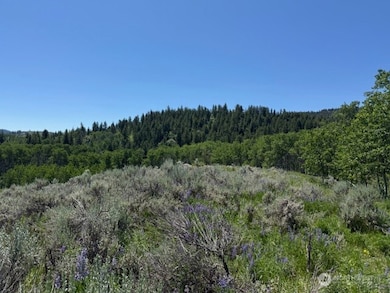 111 Tbd Ellemeham Ridge Rd, Oroville, WA 98844 - photo 5