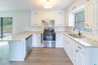 2801 3rd St NW, Center Point, AL 35215 - photo 6