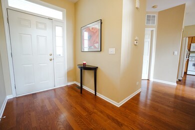 324 Lake Gillilan Way unit 242, Algonquin, IL 60102 - photo 6