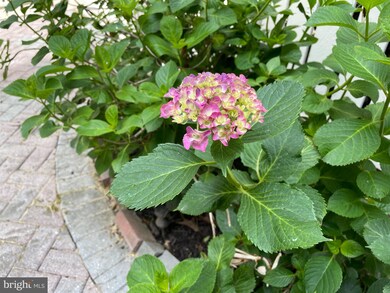 1605 Fieldthorn Dr, Reston, VA 20194 - photo 2