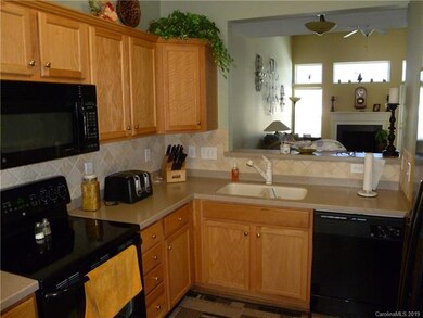 160 Snead Rd, Fort Mill, SC 29715 - photo 3