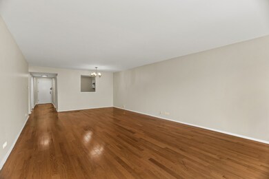 White House unit 4H, Forest Park, IL 60130 - photo 7