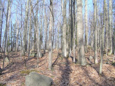 631-635 Upper Playground Trail, Hawley, PA 18428 - photo 5