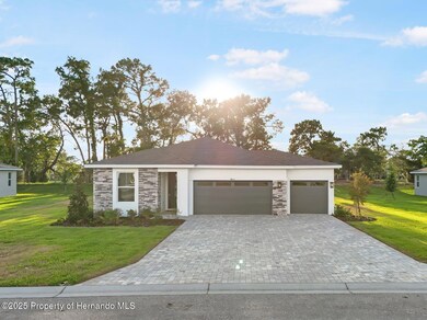 9127 Players Dr, Weeki Wachee, FL 34613 - photo 3