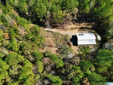 001 County Road 997 unit a, Clanton, AL 35046 - photo 5