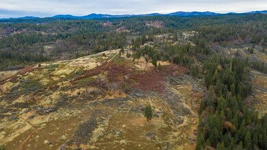 0 Pine Tree Ln unit 225032933, Pollock Pines, CA 95726 - photo 3