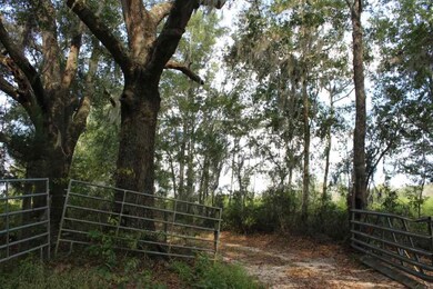 This dim two rut lane is shared with back neighbor