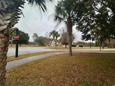 616 Green Meadows Cir unit Lot 23, Georgetown, SC 29440 - photo 6