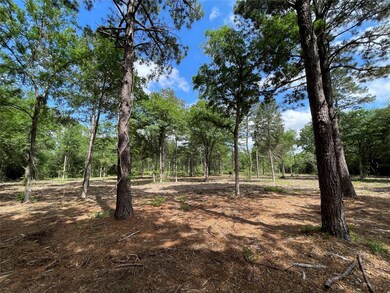 Tract 5 Farm To Market 362, Waller, TX 77484 - photo 2