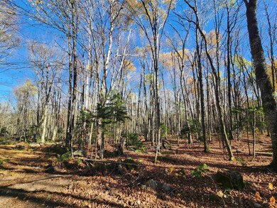 2098 Kinney Hill Rd, Newark, VT 05871 - photo 7