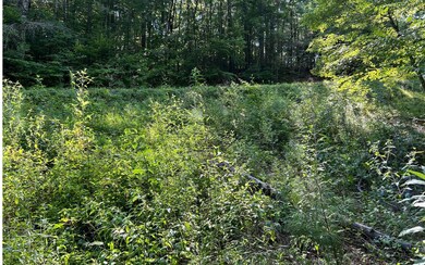 Additional View